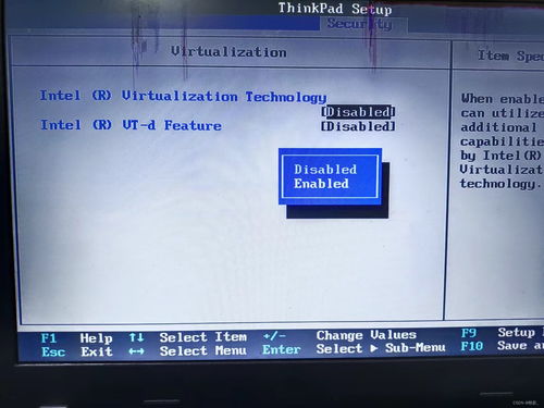 Ventoy多系統(tǒng)啟動(dòng)盤(pán)制作及VMware虛擬機(jī)配置使用指南