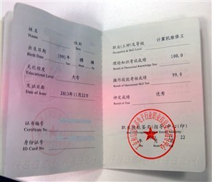 計算機維修工 軟硬件與外圍設備制造全解析